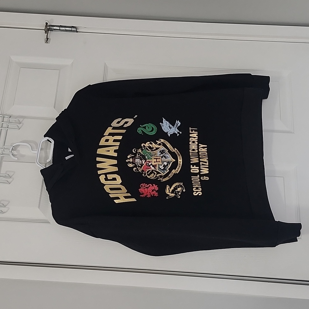Harry Potter Hogwarts School of Witchcraft and Wizardry graphic pullover hoodie